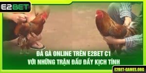 Đá Gà Online Trên E2BET Với Những Trận Đấu Đầy Kịch Tính