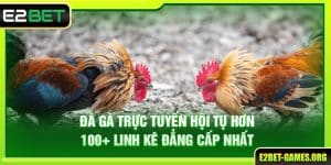 Đá Gà Trực Tuyến E2BET Hội Tụ Hơn 100+ Linh Kê Đẳng Cấp Nhất